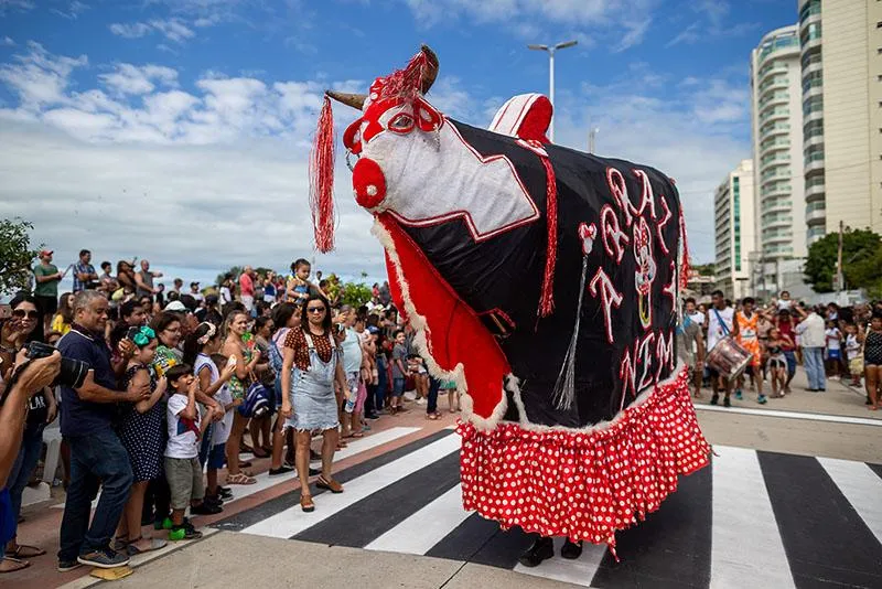 Boi Pintadinho atravessa gerações e ganha novo circuito cultural em Macaé